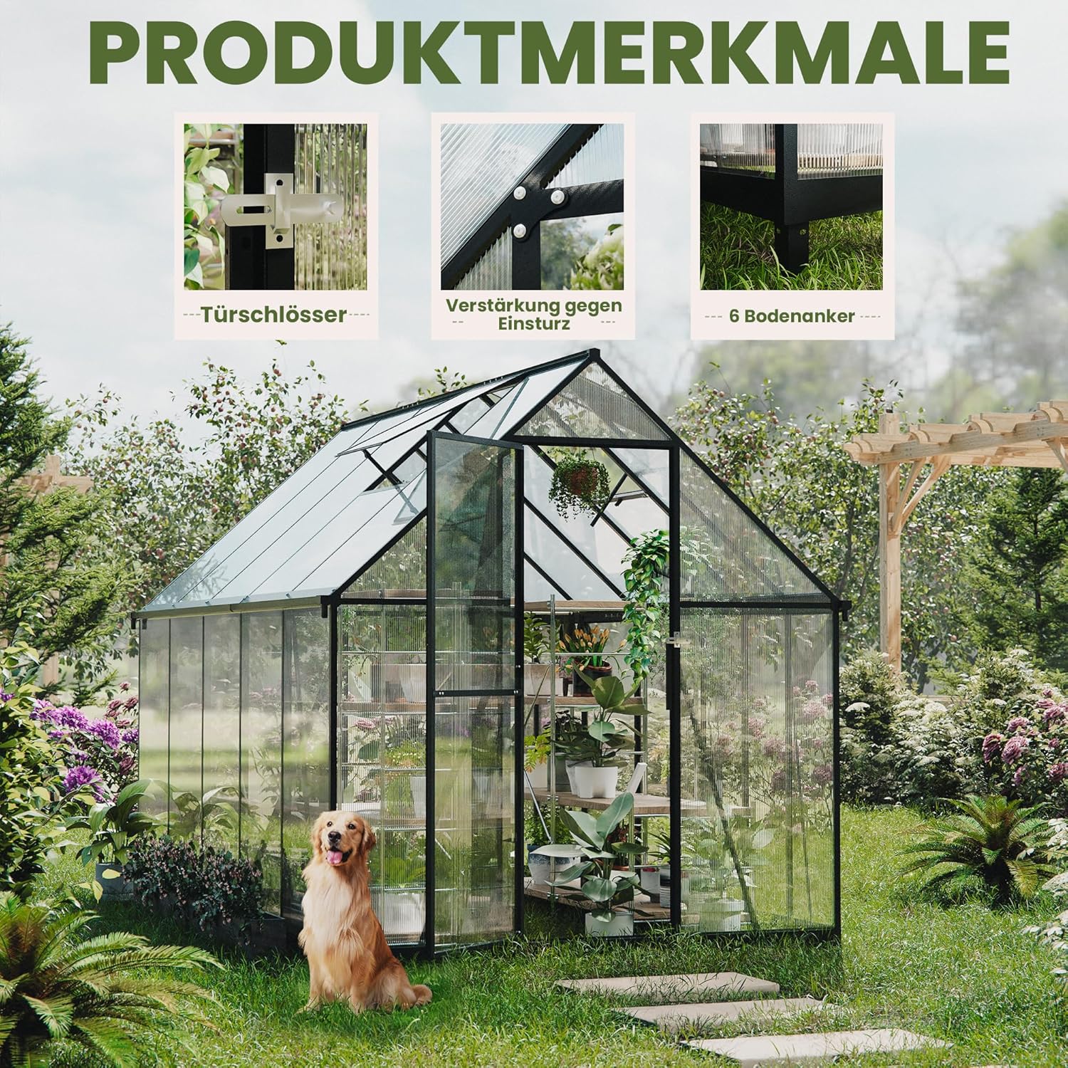 ALAULM Polycarbonate Greenhouse